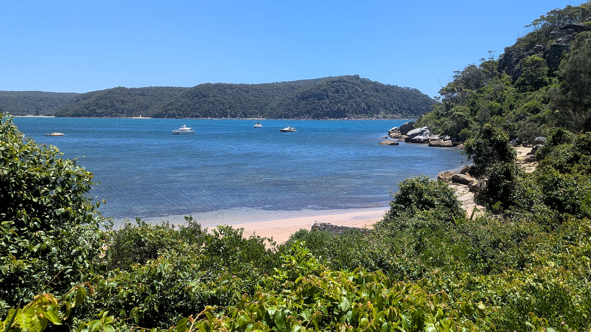 barrenjoey track (13)